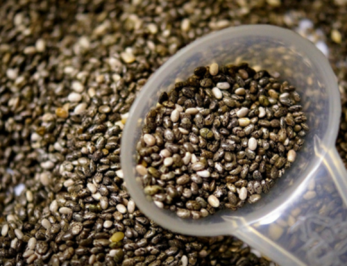 Chia Seeds – What Makes Them So Nutritious?